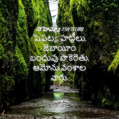 Picture 04 - నెహెమ్యా 7:59 TELIRV - షెఫట్య, హట్టీలు, - Bible Verse Picture