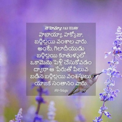Picture 04 - నెహెమ్యా 7:63 TELIRV - హబాయ్యా, హక్కోజు, - Bible Verse Picture