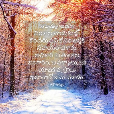Picture 04 - నెహెమ్యా 7:70 TELIRV - వంశాల నాయకుల్లో - Bible Verse Picture