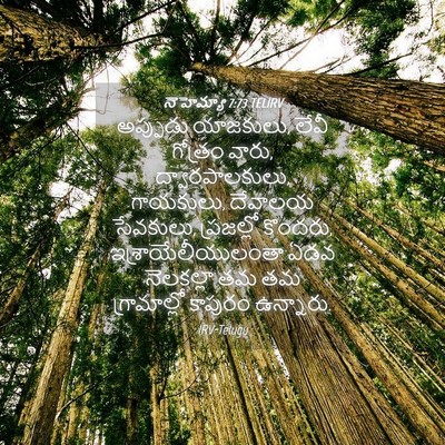 Picture 04 - నెహెమ్యా 7:73 TELIRV - అప్పుడు యాజకులు, - Bible Verse Picture