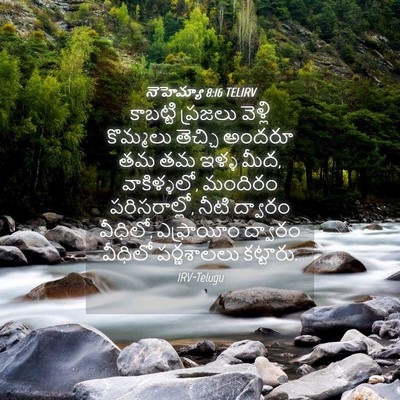 Picture 04 - నెహెమ్యా 8:16 TELIRV - కాబట్టి ప్రజలు - Bible Verse Picture