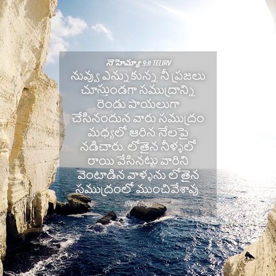 Picture 04 - నెహెమ్యా 9:11 TELIRV - నువ్వు ఎన్నుకున్న - Bible Verse Picture
