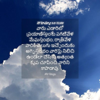 Picture 04 - నెహెమ్యా 9:19 TELIRV - వారు ఎడారిలో - Bible Verse Picture