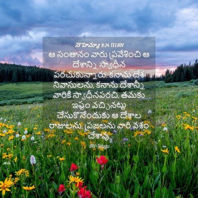 Picture 04 - నెహెమ్యా 9:24 TELIRV - ఆ సంతానం వారు - Bible Verse Picture