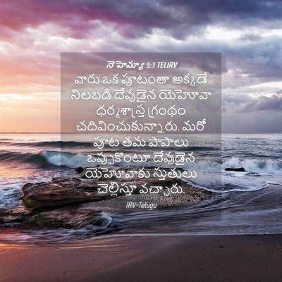 Picture 04 - నెహెమ్యా 9:3 TELIRV - వారు ఒక పూటంతా - Bible Verse Picture
