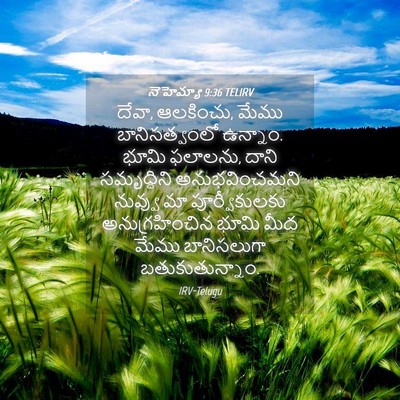 Picture 04 - నెహెమ్యా 9:36 TELIRV - దేవా, ఆలకించు, మేము - Bible Verse Picture