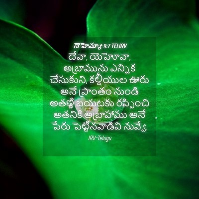 Picture 04 - నెహెమ్యా 9:7 TELIRV - దేవా, యెహోవా, - Bible Verse Picture