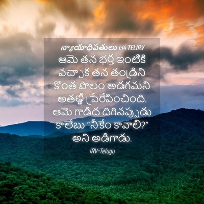 Picture 04 - న్యాయాధిపతులు 1:14 TELIRV - ఆమె తన భర్త ఇంటికి - Bible Verse Picture