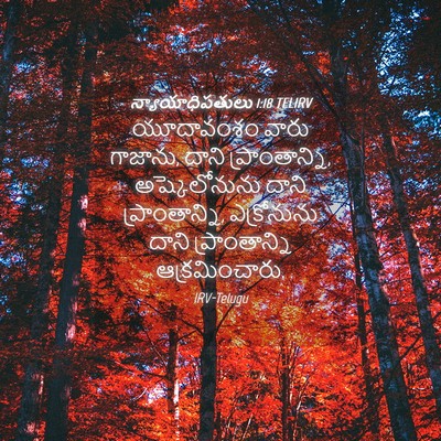 Picture 04 - న్యాయాధిపతులు 1:18 TELIRV - యూదావంశం వారు - Bible Verse Picture