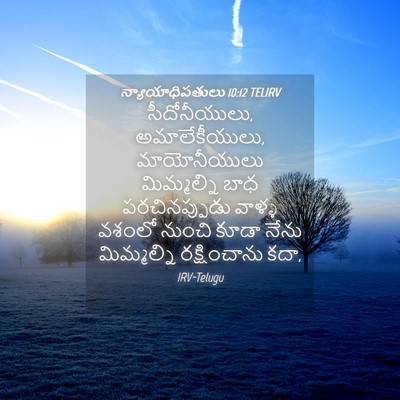 Picture 04 - న్యాయాధిపతులు 10:12 TELIRV - సీదోనీయులు, - Bible Verse Picture