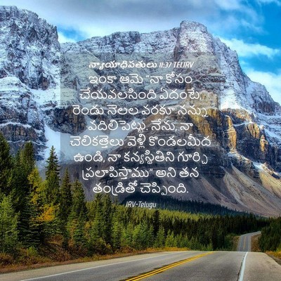 Picture 04 - న్యాయాధిపతులు 11:37 TELIRV - ఇంకా ఆమె “నా కోసం - Bible Verse Picture