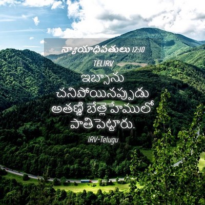 Picture 04 - న్యాయాధిపతులు 12:10 TELIRV - ఇబ్సాను - Bible Verse Picture