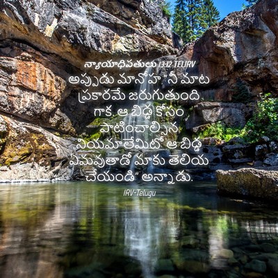 Picture 04 - న్యాయాధిపతులు 13:12 TELIRV - అప్పుడు మానోహ “నీ - Bible Verse Picture