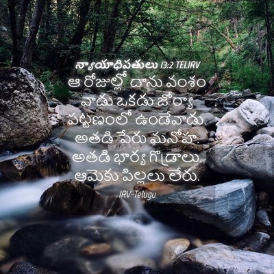Picture 04 - న్యాయాధిపతులు 13:2 TELIRV - ఆ రోజుల్లో దాను - Bible Verse Picture