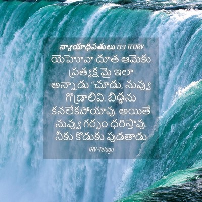 Picture 04 - న్యాయాధిపతులు 13:3 TELIRV - యెహోవా దూత ఆమెకు - Bible Verse Picture