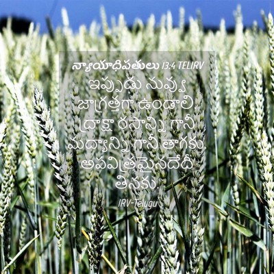 Picture 04 - న్యాయాధిపతులు 13:4 TELIRV - ఇప్పుడు నువ్వు - Bible Verse Picture