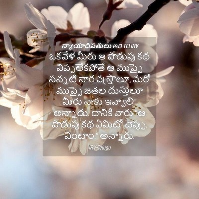 Picture 04 - న్యాయాధిపతులు 14:13 TELIRV - ఒకవేళ మీరు ఆ - Bible Verse Picture