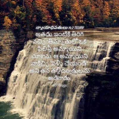 Picture 04 - న్యాయాధిపతులు 14:2 TELIRV - అతడు ఇంటికి - Bible Verse Picture