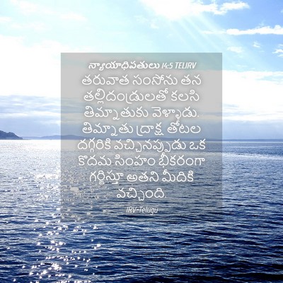 Picture 04 - న్యాయాధిపతులు 14:5 TELIRV - తరువాత సంసోను తన - Bible Verse Picture