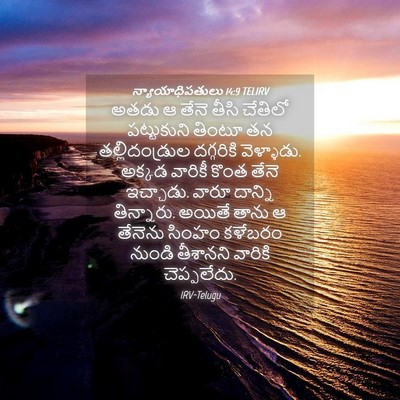 Picture 04 - న్యాయాధిపతులు 14:9 TELIRV - అతడు ఆ తేనె తీసి - Bible Verse Picture