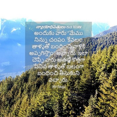 Picture 04 - న్యాయాధిపతులు 15:13 TELIRV - అందుకు వారు “మేము - Bible Verse Picture