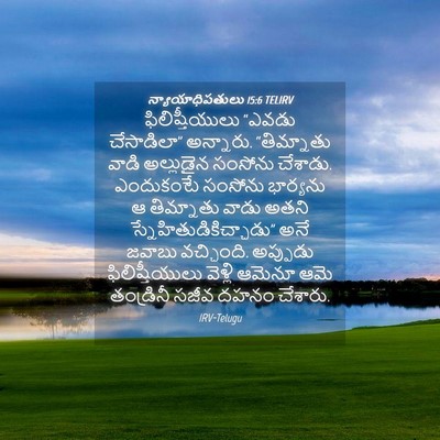 Picture 04 - న్యాయాధిపతులు 15:6 TELIRV - ఫిలిష్తీయులు - Bible Verse Picture