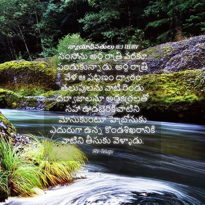 Picture 04 - న్యాయాధిపతులు 16:3 TELIRV - సంసోను అర్థ - Bible Verse Picture