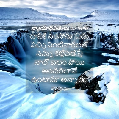 Picture 04 - న్యాయాధిపతులు 16:7 TELIRV - దానికి సంసోను - Bible Verse Picture