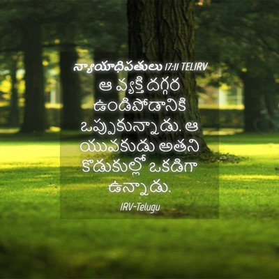 Picture 04 - న్యాయాధిపతులు 17:11 TELIRV - ఆ వ్యక్తి దగ్గర - Bible Verse Picture