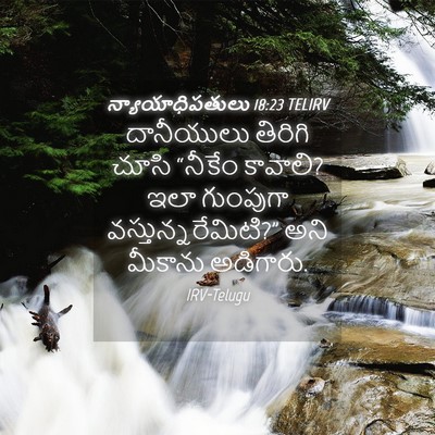 Picture 04 - న్యాయాధిపతులు 18:23 TELIRV - దానీయులు తిరిగి - Bible Verse Picture