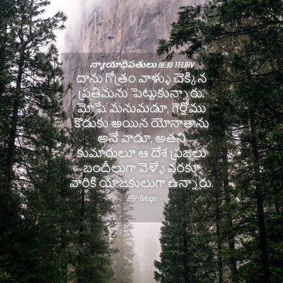 Picture 04 - న్యాయాధిపతులు 18:30 TELIRV - దాను గోత్రం - Bible Verse Picture