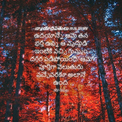 Picture 04 - న్యాయాధిపతులు 19:26 TELIRV - ఉదయాన్నే ఆమె తన - Bible Verse Picture