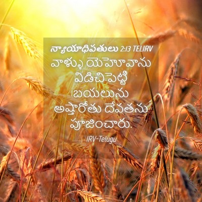 Picture 04 - న్యాయాధిపతులు 2:13 TELIRV - వాళ్ళు యెహోవాను - Bible Verse Picture