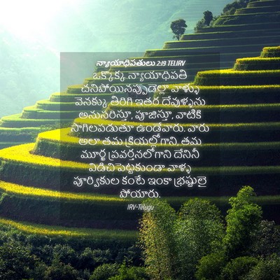 Picture 04 - న్యాయాధిపతులు 2:19 TELIRV - ఒక్కొక్క - Bible Verse Picture