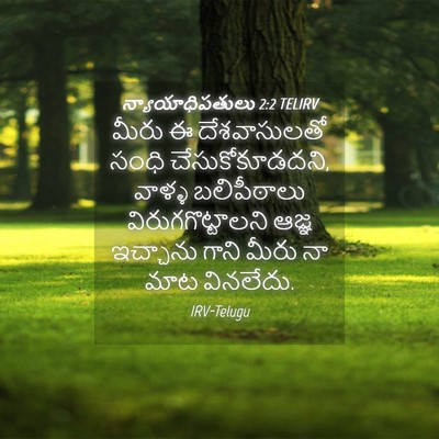 Picture 04 - న్యాయాధిపతులు 2:2 TELIRV - మీరు ఈ దేశవాసులతో - Bible Verse Picture