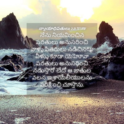 Picture 04 - న్యాయాధిపతులు 2:21 TELIRV - నేను నియమించిన - Bible Verse Picture