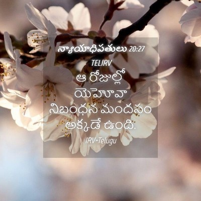 Picture 04 - న్యాయాధిపతులు 20:27 TELIRV - ఆ రోజుల్లో యెహోవా - Bible Verse Picture