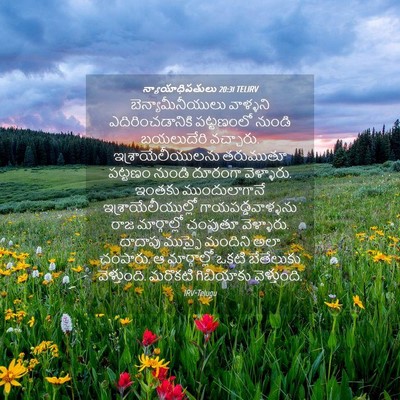 Picture 04 - న్యాయాధిపతులు 20:31 TELIRV - బెన్యామీనీయులు - Bible Verse Picture