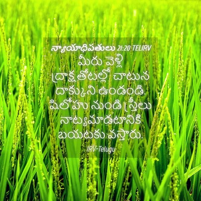 Picture 04 - న్యాయాధిపతులు 21:20 TELIRV - మీరు వెళ్లి - Bible Verse Picture