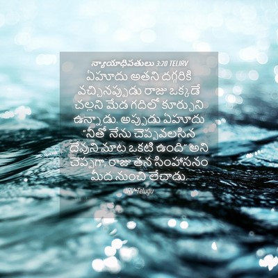 Picture 04 - న్యాయాధిపతులు 3:20 TELIRV - ఏహూదు అతని - Bible Verse Picture