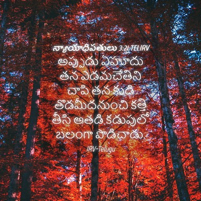Picture 04 - న్యాయాధిపతులు 3:21 TELIRV - అప్పుడు ఏహూదు తన - Bible Verse Picture