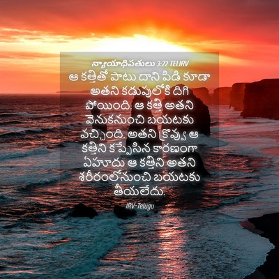 Picture 04 - న్యాయాధిపతులు 3:22 TELIRV - ఆ కత్తితో పాటు - Bible Verse Picture