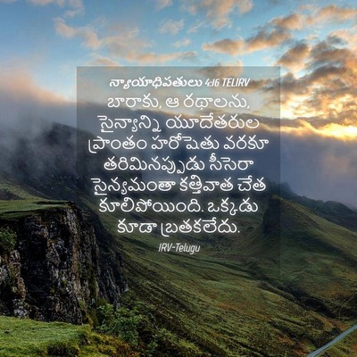 Picture 04 - న్యాయాధిపతులు 4:16 TELIRV - బారాకు, ఆ రథాలను, - Bible Verse Picture