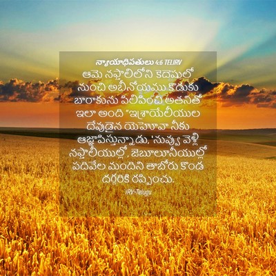Picture 04 - న్యాయాధిపతులు 4:6 TELIRV - ఆమె నఫ్తాలిలోని - Bible Verse Picture