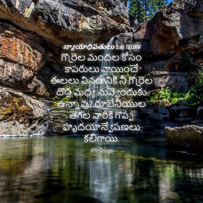 Picture 04 - న్యాయాధిపతులు 5:16 TELIRV - గొర్రెల మందల కోసం - Bible Verse Picture