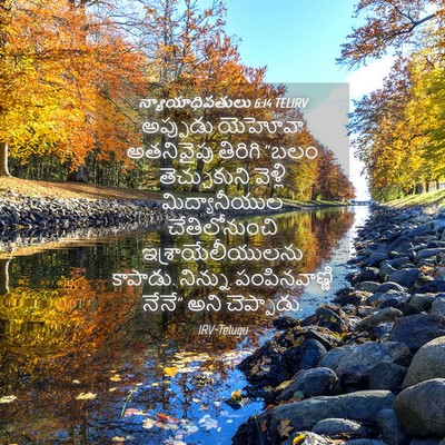 Picture 04 - న్యాయాధిపతులు 6:14 TELIRV - అప్పుడు యెహోవా - Bible Verse Picture