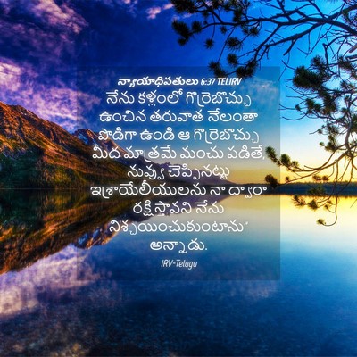 Picture 04 - న్యాయాధిపతులు 6:37 TELIRV - నేను కళ్లంలో - Bible Verse Picture
