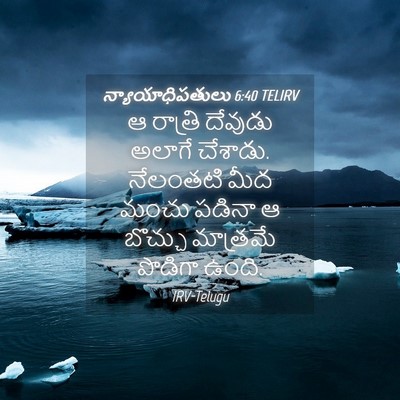 Picture 04 - న్యాయాధిపతులు 6:40 TELIRV - ఆ రాత్రి దేవుడు - Bible Verse Picture