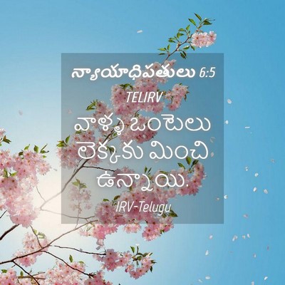 Picture 04 - న్యాయాధిపతులు 6:5 TELIRV - వాళ్ళ ఒంటెలు - Bible Verse Picture