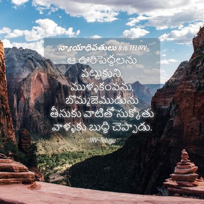 Picture 04 - న్యాయాధిపతులు 8:16 TELIRV - ఆ ఊరిపెద్దలను - Bible Verse Picture